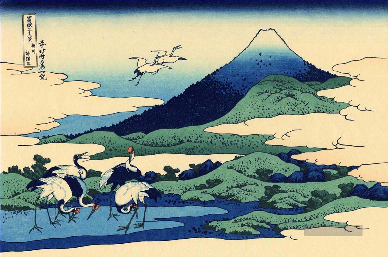 Umegawa in sagami Provinz Katsushika Hokusai Japanisch Ölgemälde